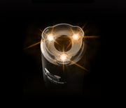 Fast Simulation Of Firelight Trajectory Tracker