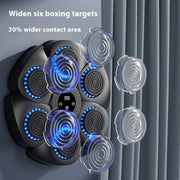 Smart Bluetooth Wireless Boxing Home Exercise Fitness Boxing Equipment